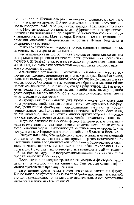 Резко сократилась численность китов, например черного кита, находящегося на грани исчезновения.