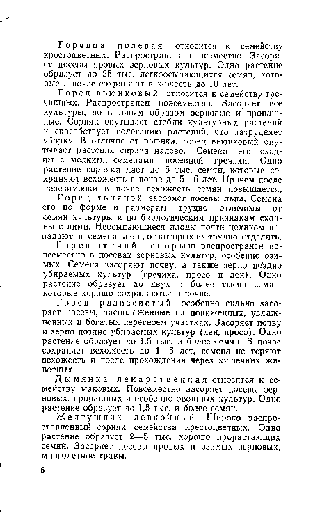 Дымянка лекарственная относится к семейству маковых. Повсеместно засоряет посевы зерновых, пропашных и особенно овощных культур. Одно растение образует до 1,5 тыс. и более семян.