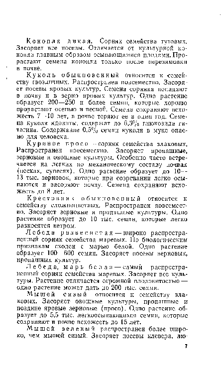 Лебеда развесистая — широко распространенный сорняк семейства маревых. По биологическим признакам сходен с марью белой. Одно растение образует 100—600 семян. Засоряет посевы зерновых, пропашных культур.