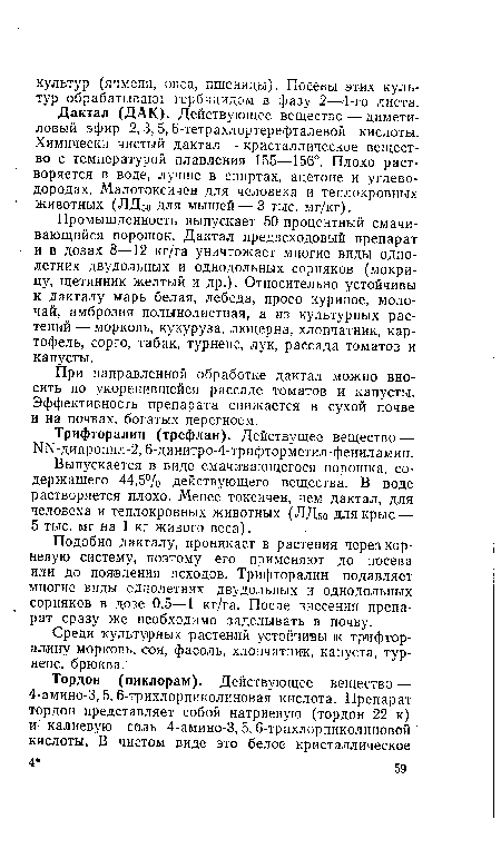 Промышленность выпускает 50-процентный смачивающийся порошок. Дактал предвсходовый препарат и в дозах 8—12 кг/га уничтожает многие виды однолетних двудольных и однодольных сорняков (мокрицу, щетинник желтый и др.). Относительно устойчивы к дакталу марь белая, лебеда, просо куриное, молочай, амброзия полынолистная, а из культурных растений — морковь, кукуруза, люцерна, хлопчатник, картофель, сорго, табак, турнепс, лук, рассада томатов и капусты.