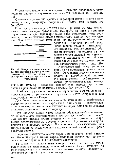 Микроскопическая картина при сравнении делений объект-микрометра (толстые линии) и окуляр-микрометра при большом увеличении