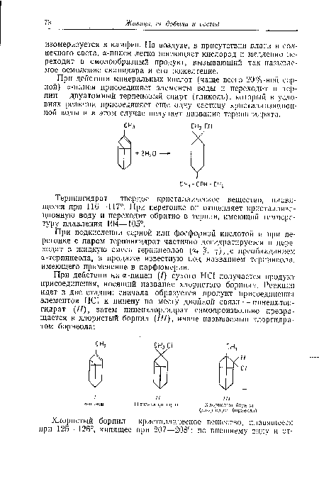 При действии минеральных кислот (чаще всего 20%-ной серной) а-пинен присоединяет элементы воды и переходит в тер-пин — двуатомный терпеновый спирт (гликоль), который в условиях реакции присоединяет еще одну частицу кристаллизационной воды и в этом случае получает название терпингидрата.