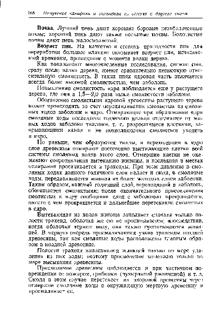 Как показывают многочисленные исследования, свежие пни, сразу после валки дерева, имеют сравнительно невысокую относительную смолистость. В таких пнях ядровая часть отличается всегда более высокой смолистостью, чем заболонь.