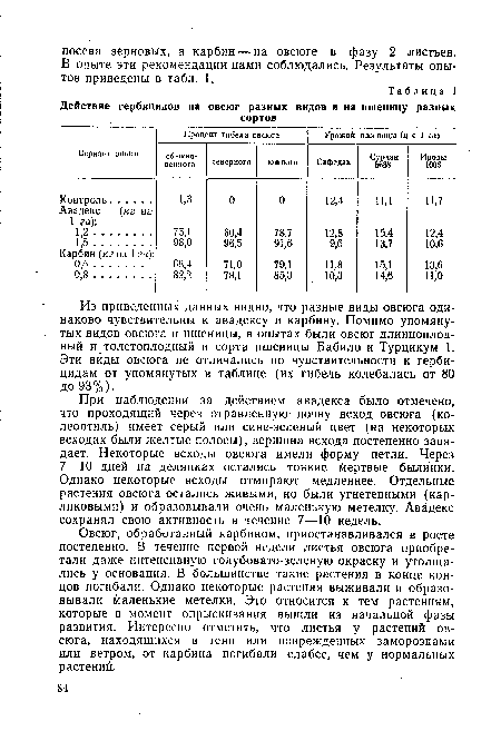 Из приведенных данных видно, что разные виды овсюга одинаково чувствительны к авадексу и карбину. Помимо упомянутых видов овсюга и пшеницы, в опытах были овсюг длинноплодный и толстоплодный и сорта пшеницы Бабило и Турцикум 1. Эти виды овсюга не отличались по чувствительности к гербицидам от упомянутых в таблице (их гибель колебалась от 80 до 93%).