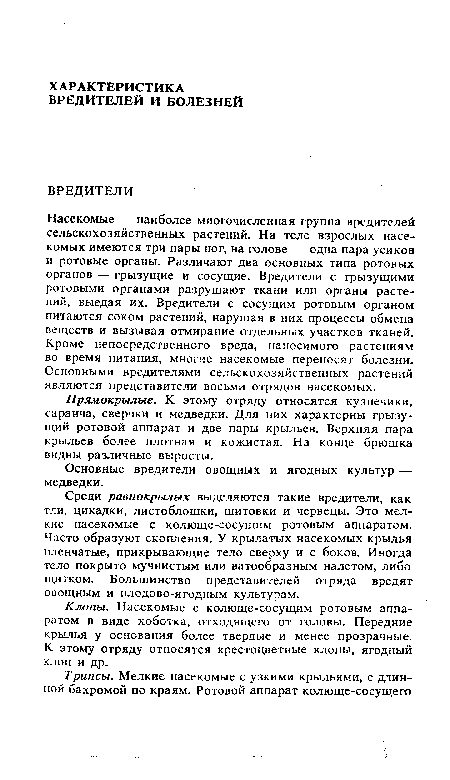 Среди равнокрылых выделяются такие вредители, как тли, цикадки, листоблошки, щитовки и червецы. Это мелкие насекомые с колюще-сосущим ротовым аппаратом. Часто образуют скопления. У крылатых насекомых крылья пленчатые, прикрывающие тело сверху и с боков. Иногда тело покрыто мучнистым или ватообразным налетом, либо щитком. Большинство представителей отряда вредят овощным и плодово-ягодным культурам.