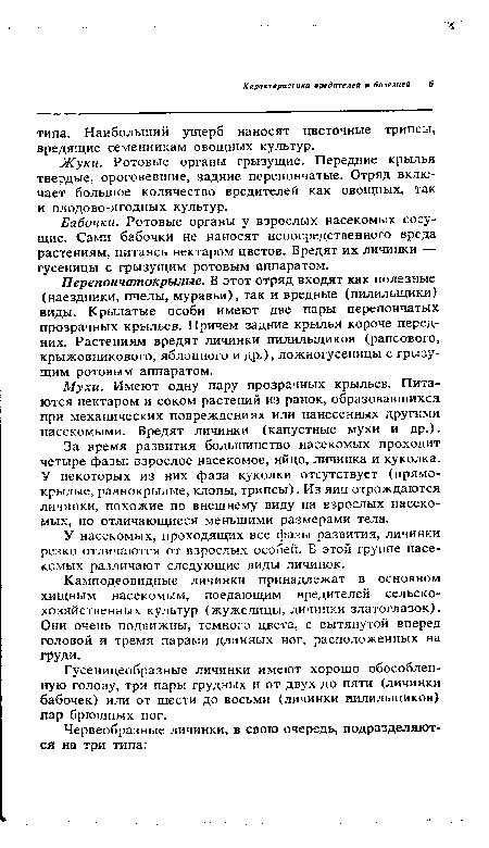 Мухи. Имеют одну пару прозрачных крыльев. Питаются нектаром и соком растений из ранок, образовавшихся при механических повреждениях или нанесенных другими насекомыми. Вредят личинки (капустные мухи и др.).