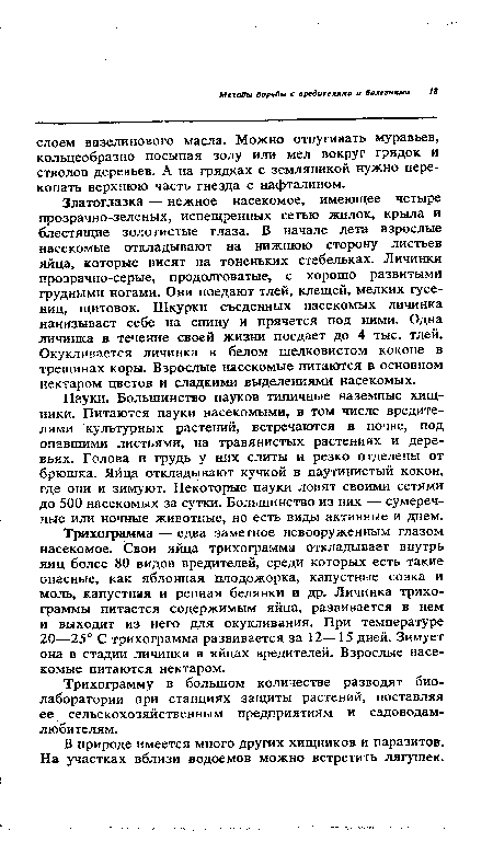 Златоглазка — нежное насекомое, имеющее четыре прозрачно-зеленых, испещренных сетью жилок, крыла и блестящие золотистые глаза. В начале лета взрослые насекомые откладывают на нижнюю сторону листьев яйца, которые висят на тоненьких стебельках. Личинки прозрачно-серые, продолговатые, с хорошо развитыми грудными ногами. Они поедают тлей, клещей, мелких гусениц, щитовок. Шкурки съеденных насекомых личинка нанизывает себе на спину и прячется под ними. Одна личинка в течение своей жизни поедает до 4 тыс. тлей. Окукливается личинка в белом шелковистом коконе в трещинах коры. Взрослые насекомые питаются в основном нектаром цветов и сладкими выделениями насекомых.