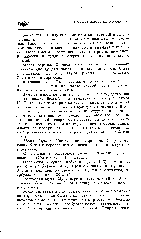 Зимуют взрослые тли или личинки преимущественно на сорняках. Весной при температуре воздуха около 123 С тля начинает размножаться, питаясь сначала на сорняках, а затем переходя на культурные растения. В открытом грунте тля появляется на огурцах в июле — августе, а защищенном — весной. Колонии тлей поселяются на нижней поверхности листьев, на побегах, цветках и завязях, вызывая их скручивание и сморщивание. Иногда на поверхности листьев, на сладких выделениях тлей развиваются непаразитарные грибки, образуя белый налет.