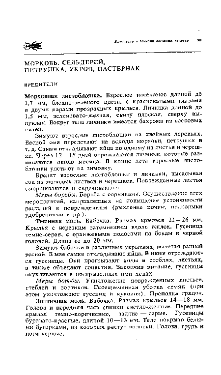 Зонтичная моль. Бабочка. Размах крыльев 14—18 мм. Голова и передняя чась спинки светло-желтые. Передние крылья темно-коричневые, задние — серые. Гусеницы буровато-красные, длиной 10—13 мм. Тело покрыто белыми бугорками, из которых растут волоски. Голова, грудь и ноги черные.