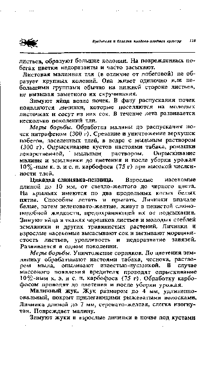 Меры борьбы. Обработка малины до распускания почек нитрафеном (300 г). Срезание и уничтожение верхушек побегов, заселенных тлей, в ведре с мыльным раствором (300 г). Опрыскивание кустов настоями табака, ромашки лекарственной, мыльным раствором. Опрыскивание малины и земляники до цветения и после уборки урожая 10%-ным к. э. и с. п. карбофоса (75 г) при высокой численности тлей.