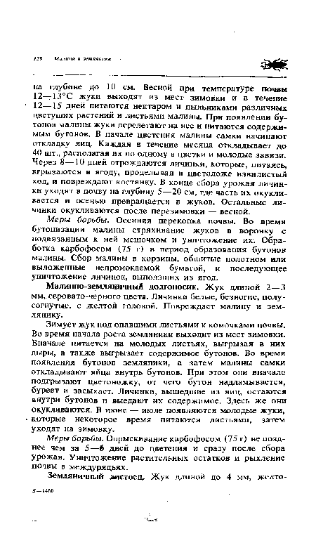 Меры борьбы. Опрыскивание карбофосом (75 г) не позднее чем за 5—6 дней до цветения и сразу после сбора урожая. Уничтожение растительных остатков и рыхление почвы в междурядьях.