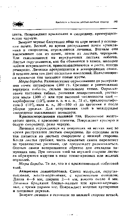 Зимуют черные блестящие яйца на коре ветвей у основания почек. Весной, во время распускания почек крыжовника и смородины, отрождаются личинки. Вначале они высасывают сок из почек, затем из листьев, черешков. Тли скапливаются на верхушечных листьях побегов. Листья скручиваются, как бы сбиваются в комок, молодые побеги искривляются, приостанавливаются в росте, иногда ртмирают. Личинки превращаются в живородящих самок. В течение лета тля дает несколько поколений. Появляющиеся крылатые тли заселяют новые кусты.