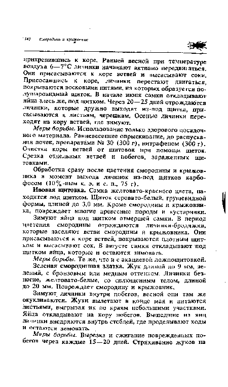 Ивовая щитовка. Самка желтовато-красного цвета, находится под щитком. Щиток серовато-белый, грушевидной формы, длиной до 3,0 мм. Кроме смородины и крыжовника, повреждает многие древесные породы и кустарники.