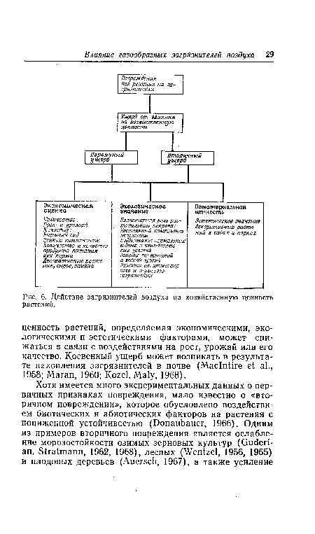 Действие загрязнителей воздуха на хозяйственную ценность растений.