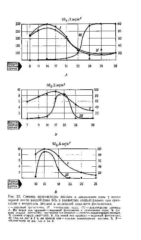 Степень повреждения листьев и накопление серы у ольхи черной после воздействия S02 в различных концентрациях при сравнении с возрастом листьев и величиной видимого фотосинтеза.