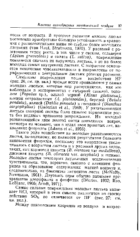 Самые сильные повреждения молодых листьев вызывает НС1, который в этом смысле аналогичен по своему действию SO2, но отличается от HF (рис. 27; см. цв. вкл.).