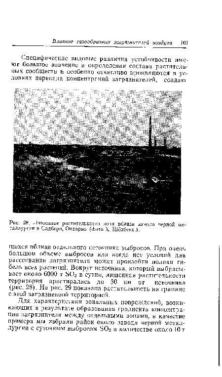 Лишенная растительности зона вблизи завода черной металлургии в Садбери, Онтарио (фото X. Шёнбека.).