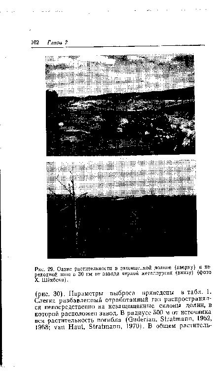 Оазис растительности в защищенной долине (вверху) и переходной зоне в 30 км от завода черной металлургии (внизу) (фото X. Шёнбека).