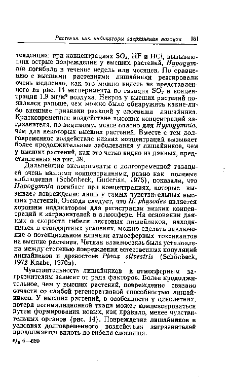 Чувствительность лишайников к атмосферным загрязнителям зависит от ряда факторов. Более продолжительное, чем у высших растений, повреждение связано отчасти со слабой регенеративной способностью лишайников. У высших растений, в особенности у однолетних, потеря ассимиляционной ткани может компенсироваться путем формирования новых, как правило, менее чувствительных органов (рис. 14). Повреждение лишайников в условиях долговременного воздействия загрязнителей продолжается вплоть до гибели слоевища.