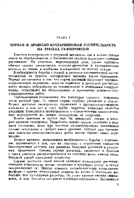 Наблюдениями установлено, что некоторые сорняки, например хвощ полевой (рис. 1), имеют корни, глубоко уходящие в землю. Корни, достигая газопровода, проникают в противокоррозионную изоляцию и под нее к телу трубы, нарушая защитные свойства изоляции. Появляется необходимость в осуществлении дополнительных мероприятий по защите газопровода от коррозии.