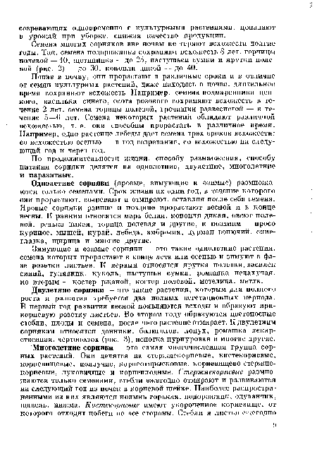 Попав в почву, они прорастают в различные сроки и в отличие от семян культурных растений, даже находясь в почве, длительное время сохраняют всхожесть. Например, семена подмаренника цепкого, василька синего, осота розового сохраняют всхожесть в течение 2 лет, семена торицы полевой, гречишки развесистой — в течение 5—6 лет. Семена некоторых растений обладают различной всхожестью, т. е. они способны прорастать в различное время. Например, одно растение лебеды дает семена трех сроков всхожести: со всхожестью осенью — в год созревания, со всхожестью на следующий год и через год.