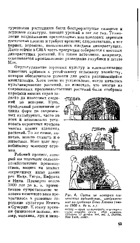 Окультуривание зерновых культур и одомашнивание животных привели к устойчивому сельскому хозяйству, которое обеспечивало условия для роста развивающейся цивилизации. Хотя точно не установлено, когда началось культивирование растений, но известно, что многие из современных продовольственных растений были отобраны народами многих стран задолго до известных сведе-ний по истории. Путь, пройденный растениями от диких форм до современных культурных, часто не ясен и невозможно установить первичных предков многих наших злаковых растений. То же самое, конечно, можно сказать и о животных. Наш долг первобытному человеку огромен.