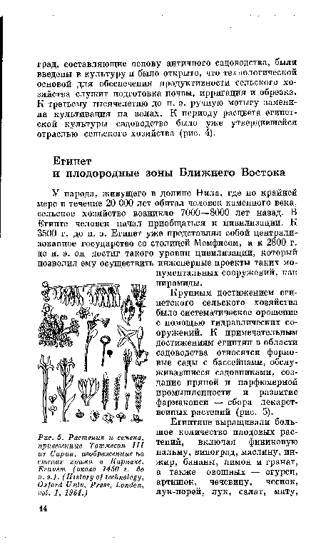 Крупным достижением египетского сельского хозяйства было систематическое орошение с помощью гидравлических сооружений. К примечательным достижениям египтян в области садоводства относятся формовые сады с бассейнами, обслуживавшиеся садовниками, создание пряной и парфюмерной промышленности и развитие фармакопеи — сбора лекарственных растений (рис. 5).