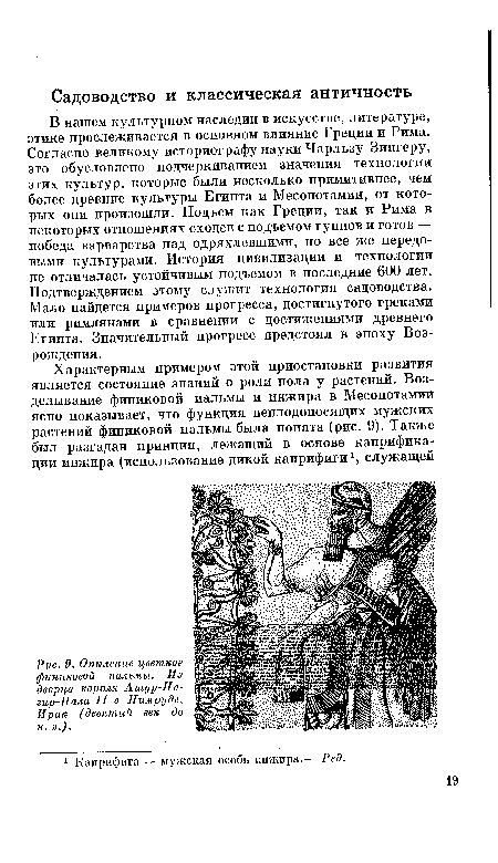 В нашем культурном наследии в искусстве, литературе, этике прослеживается в основном влияние Греции и Рима. Согласно великому историографу науки Чарльзу Зингеру, это обусловлено подчеркиванием значения технологии этих культур, которые были несколько примитивнее, чем более древние культуры Египта и Месопотамии, от которых они произошли. Подъем как Греции, так и Рима в некоторых отношениях сходен с подъемом гуннов и готов — победа варварства над одряхлевшими, но все же передовыми культурами. История цивилизации и технологии не отличалась устойчивым подъемом в последние 600 лет. Подтверждением этому служит технология садоводства. Мало найдется примеров прогресса, достигнутого греками или римлянами в сравнении с достижениями древнего Египта. Значительный прогресс предстоял в эпоху Возрождения.