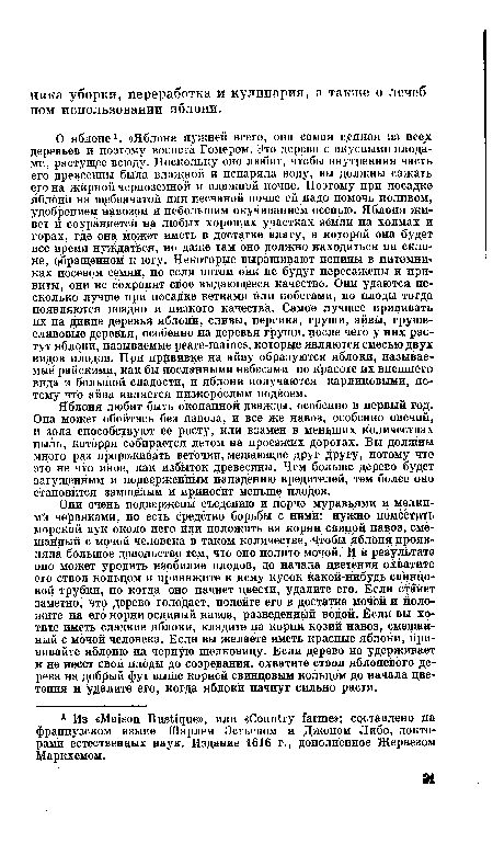 Яблоня любит быть окопанной дважды, особенно в первый год. Она может обойтись без навоза, и все же навоз, особенно овечий, п зола способствуют ее росту, или взамен в меньших количествах пыль, которая собирается летом на проезжих дорогах. Вы должны много раз прореживать веточки, мешающие друг другу, потому что это не что иное, как избыток древесины. Чем больше дерево будет загущенным и подверженным нападению вредителей, тем более оно становится замшелым и приносит меньше плодов.