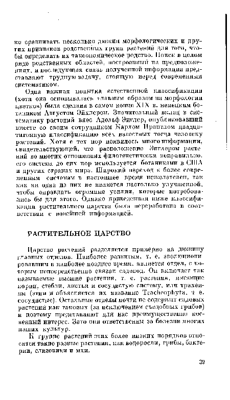 К группе растений этих более низких порядков относятся такие разные растения, как водоросли, грибы, бактерии, слизевики и мхи.