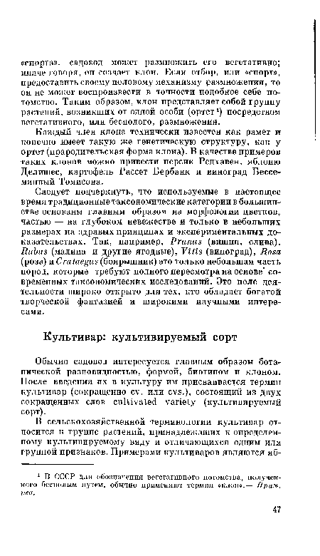 Обычно садовод интересуется главным образом ботанической разновидностью, формой, биотипом и клоном. После введения их в культуру им присваивается термин культивар (сокращенно cv. или cvs.), состоящий из двух сокращенных слов cultivated variety (культивируемый сорт).