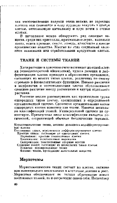 Хотя растение в конечном счете возникает из одной клетки (оплодотворенной яйцеклетки), чудеса деления и дифференциация клеток приводят к образованию организмов, состоящих из многих типов клеток, различных по своему строению и физиологическим функциям. Именно различия в морфологии и местоположении клеток обусловливают сложные различия между растениями и внутри отдельного растение.