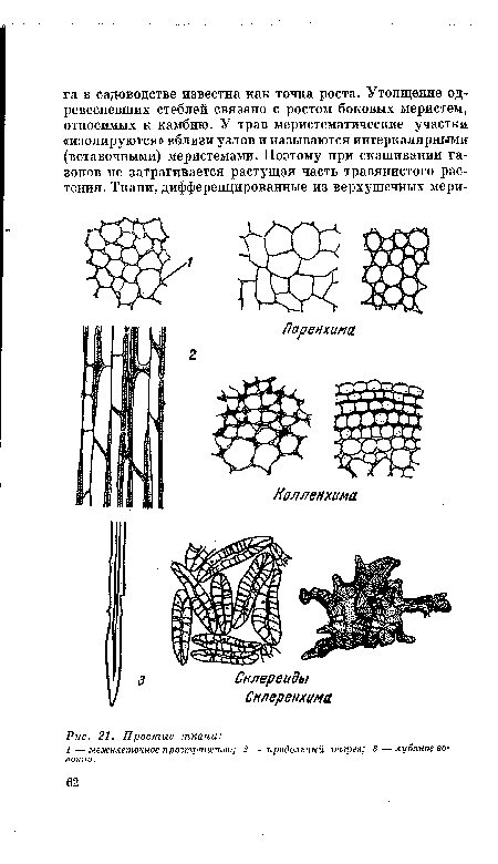 Простые ткани