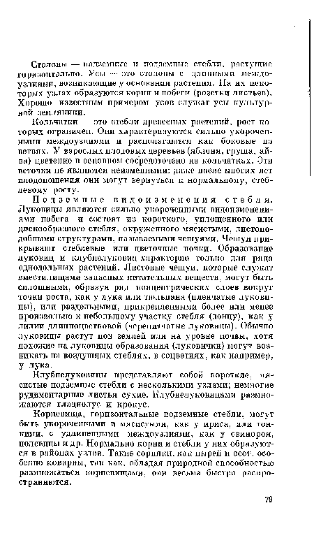 Кольчатки — это стебли древесных растений, рост которых ограничен. Они характеризуются сильно укороченными междоузлиями и располагаются как боковые на ветвях. У взрослых плодовых деревьев (яблоня, груша, айва) цветение в основном сосредоточено на кольчатках. Эти веточки не являются неизменными: даже после многих лет плодоношения они могут вернуться к нормальному, стеблевому росту.