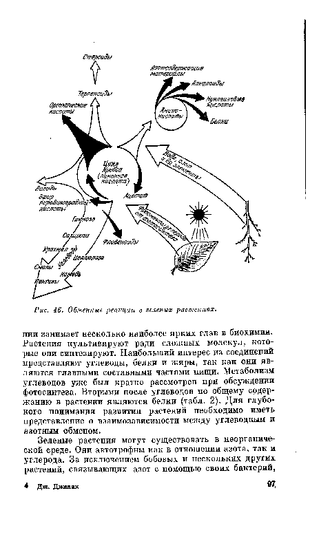 Обменные реакции в зеленых растениях.