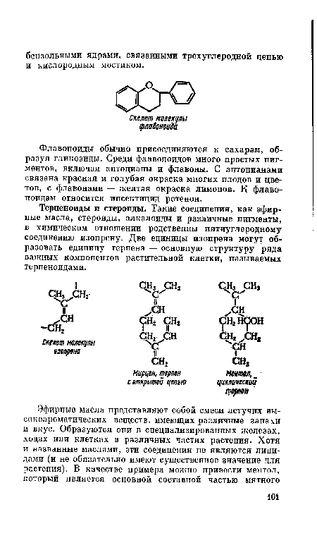 Терпеноиды и стероиды. Такие соединения, как эфирные масла, стероиды, алкалоиды и различные пигменты, в химическом отношении родственны пятиуглеродному соединению изопрену. Две единицы изопрена могут образовать единицу терпена — основную структуру ряда важных компонентов растительной клетки, называемых терпеноидами.