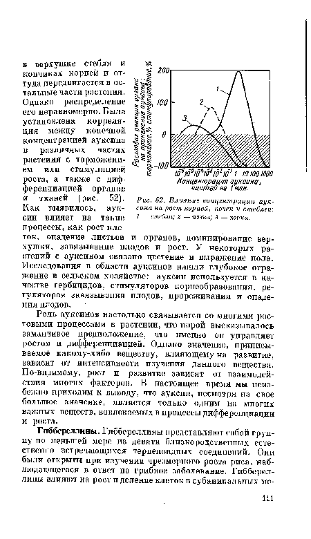 Как выявилось, ауксин влияет на такие процессы, как рост клеток, опадение листьев и органов, доминирование верхушки, завязывание плодов и рост. У некоторых растений с ауксином связано цветение и выражение пола. Исследования в области ауксинов нашли глубокое отражение в сельском хозяйстве: ауксин используется в качестве гербицидов, стимуляторов корнеобразования, регуляторов завязывания плодов, прореживания и опадения плодов.