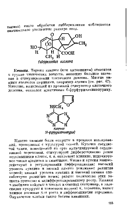 Кинины. Термин кинины (или цитокинины) относится к группе химических веществ, имеющих большое значение в стимулировании клеточного деления. Многие кинины являются пуринами, например аденин (см. рис. 47). Кинетин, выделенный из дрожжей стимулятор клеточного деления, оказался идентичным 6-фурфуриламинопурину.