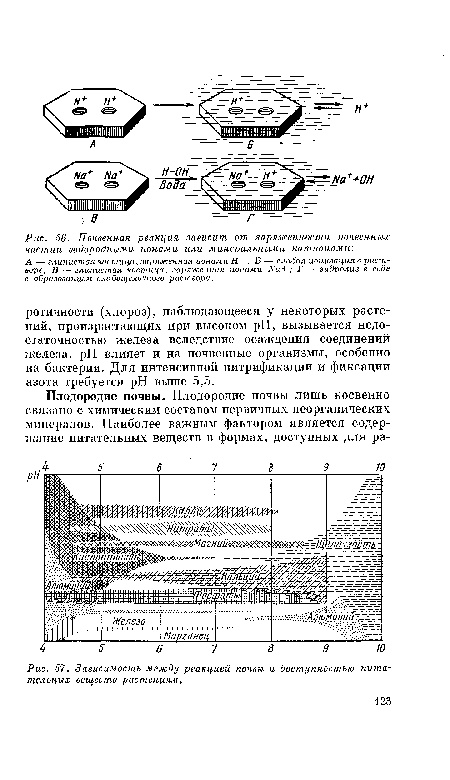 Зависимость между реакцией почвы и доступностью питательных веществ растениям.