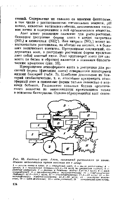 Азотный цикл. Азот, выносимый растениями из почт, должен восполняться путем внесения его в почву