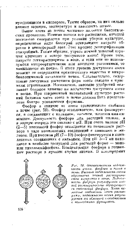 Относительная подвижность азота, фосфора и калия в почве. Высокая подвижность азота обусловлена полной растворимостью нитратов в почве. Подвижность фосфора регулируется низкой растворимостью образующихся соединений фосфора. Хотя калийные соединения почвы растворимы, подвижность калия регулируется его обменной способностью с коллоидными фракциями.