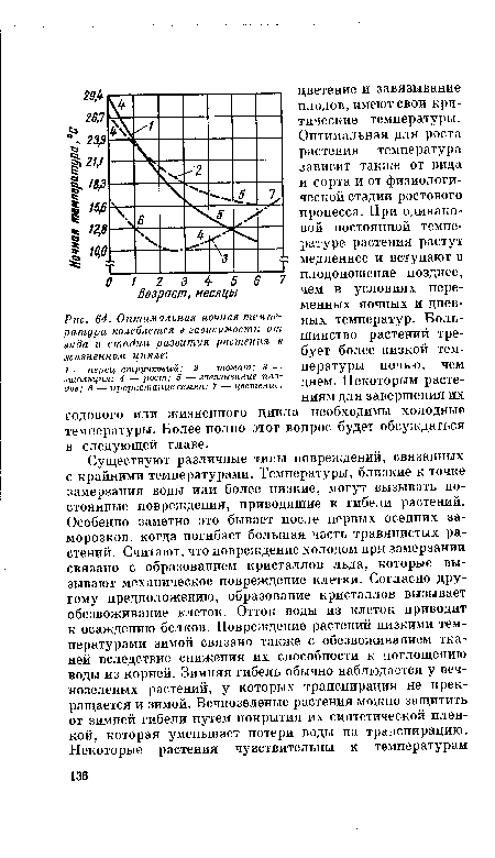 Оптимальная ночная температура колеблется в зависимости от вида и стадии развития растения в жизненном цикле