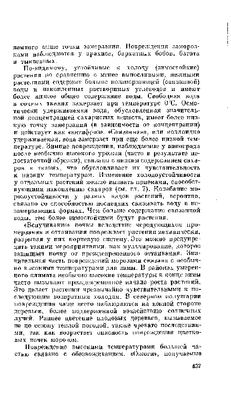 По-видимому, устойчивые к холоду (зимостойкие) растения по сравнению с менее выносливыми, нежными растениями содержат больше незамерзающей (связанной) воды и накопленных растворимых углеводов и имеют более низкое общее содержание воды. Свободная вода в сочных тканях замерзает при температуре 0°С. Осмотически удерживаемая вода, обусловленная значительной концентрацией сахаристых веществ, имеет более низкую точку замерзания (в зависимости от концентрации) и действует как «антифриз». «Связанная», или коллоидно удерживаемая, вода замерзает при еще более низкой температуре. Зимние повреждения, наблюдаемые у винограда после необычно высокого урожая (часто в результате недостаточной обрезки), связаны с низким содержанием сахаров в тканях, что обусловливает их чувствительность к низким температурам. Изменение холодоустойчивости у отдельных растений можно вызвать приемами, способствующими накоплению сахаров (см. гл. 7). Колебание морозоустойчивости у разных видов растений, вероятно, связано со способностью последних связывать воду в незамерзающих формах. Чем больше содержание связанной воды, тем более зимостойкими будут растения.