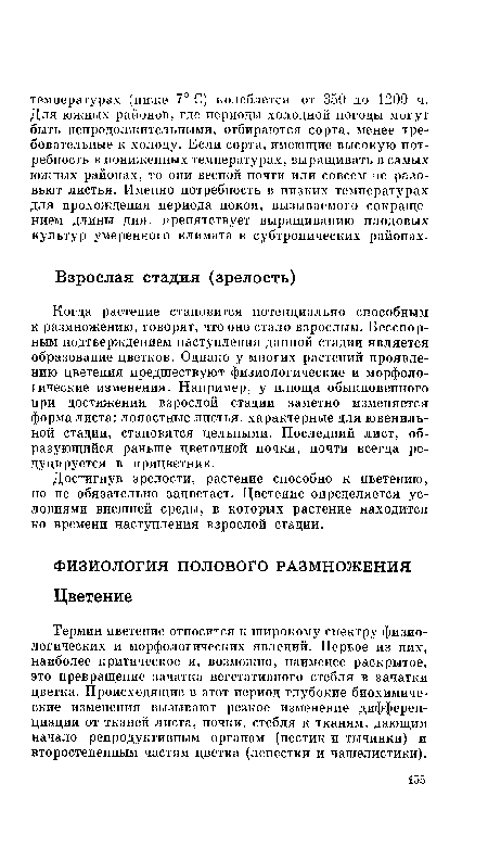 Когда растение становится потенциально способным к размножению, говорят, что оно стало взрослым. Бесспорным подтверждением наступления данной стадии является образование цветков. Однако у многих растений проявлению цветения предшествуют физиологические и морфологические изменения. Например, у плюща обыкновенного при достижении взрослой стадии заметно изменяется форма листа: лопастные листья, характерные для ювенильной стадии, становятся цельными. Последний лист, образующийся раньше цветочной почки, почти всегда редуцируется в прицветник.