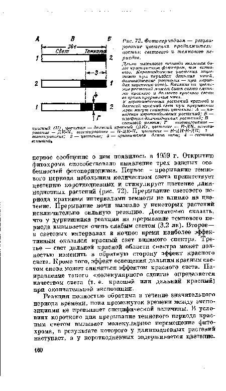 Реакция полностью обратима в течение значительного периода времени, пока промежуток времени между экспозициями не превышает специфической величины. В условиях короткого дня прерывание темнового периода красным светом вызывает молекулярное перемещение фитохрома, в результате которого у длиннодневных растений наступает, а у короткодневных задерживается цветение.