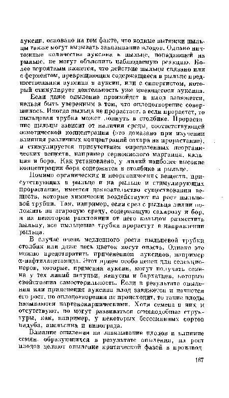 Если даже опыление произойдет и плод завяжется, нельзя быть уверенным в том, что оплодотворение совершилось. Иногда пыльца не прорастает, а если прорастет, то пыльцевая трубка может лопнуть в столбике. Прорастание пыльцы зависит от наличия среды, соответствующей осмотической концентрации (это доказано при изучении влияния различных концентраций сахара на прорастание), и стимулируется присутствием определенных неорганических веществ, например сернокислого марганца, кальция и бора. Как установлено, у лилий наиболее высокие концентрации бора содержатся в столбике и рыльце.