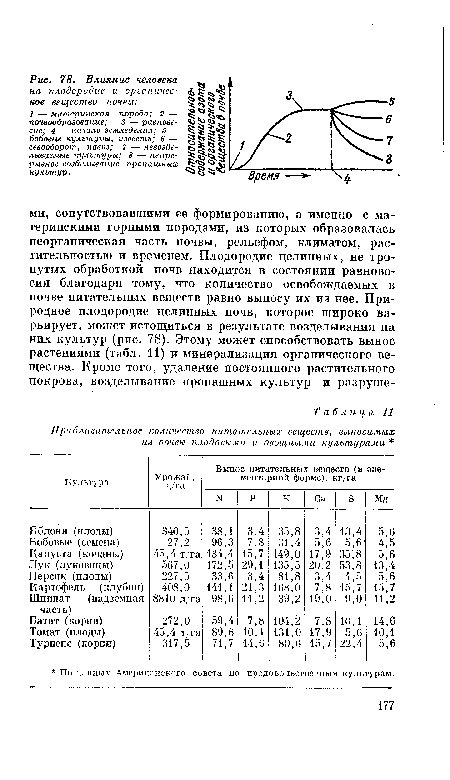 Приблизительное количество питательных веществ, выносимых из почвы плодовыми и овощными культурами