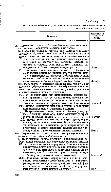 А. Поражены главным образом более старые или нижние листья; поражение местное или общее Б. Поражено большей частью все растение; нижние листья в большей или меньшей степени высохшие или с ожогами; растение светло- или темно-зеленое В. Растение светло-зеленое: нижние листья желтые, высохшие до светло-бурой окраски; стебли короткие и тонкие, если недостаток элемента наблюдается в более поздней стадии роста . ВВ. Растение темно-зеленое, часто с красным и пурпурным оттенком; нижние листья иногда желтые, усыхающие до зеленовато-бурой или черной окраски; стебли короткие и тонкие, если элемент недостаточен в более поздней стадии роста . . . ББ. Поражение в основном местное; крапчатость или хлороз с образованием или без образования некротических пятен на нижних листьях; слабое усыхание нижних листьев или его совсем нет.