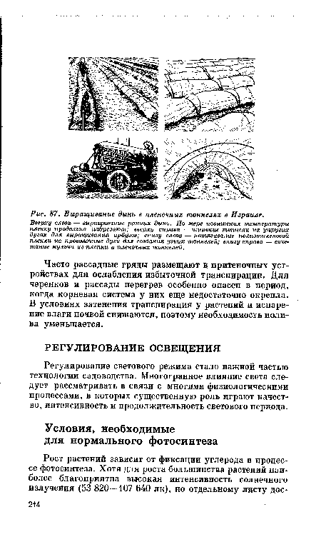 Вверху слева — выращивание ранних дынь. По мере повышения температуры пленку продольно надрезают; вверху справа — широкие тоннели на упругих дугах для выращивания арбузов; внизу слева — натягивание полиэтиленовой пленки на проволочные дуги для создания узких тоннелей; внизу справа — сочетание мульчи из плепки и пленочных тоннелей.