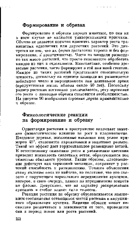 Формирование и обрезка хорошо известны, но они ни в коем случае не являются универсальными приемами. Обычно не делается попыток изменить характер роста травянистых однолетних или двулетних растений. Это диктуется не тем, что их форма достаточно хороша и без формирования, а практичностью. Часто на площади размещено так много растений, что просто невозможно обработать каждое из них в отдельности. Многолетние, особенно древесные растения, часто формируют в той или иной степени. Каждое из таких растений представляет относительную ценность, поскольку на единице площади их размещается небольшое число и выращиваются они длительное время (продуктивная жизнь яблони около 40 лет). Поскольку размер растения постоянно увеличивается, регулирование его роста с помощью обрезки становится необходимостью. На рисунке 90 изображено строение дерева применительно к обрезке.